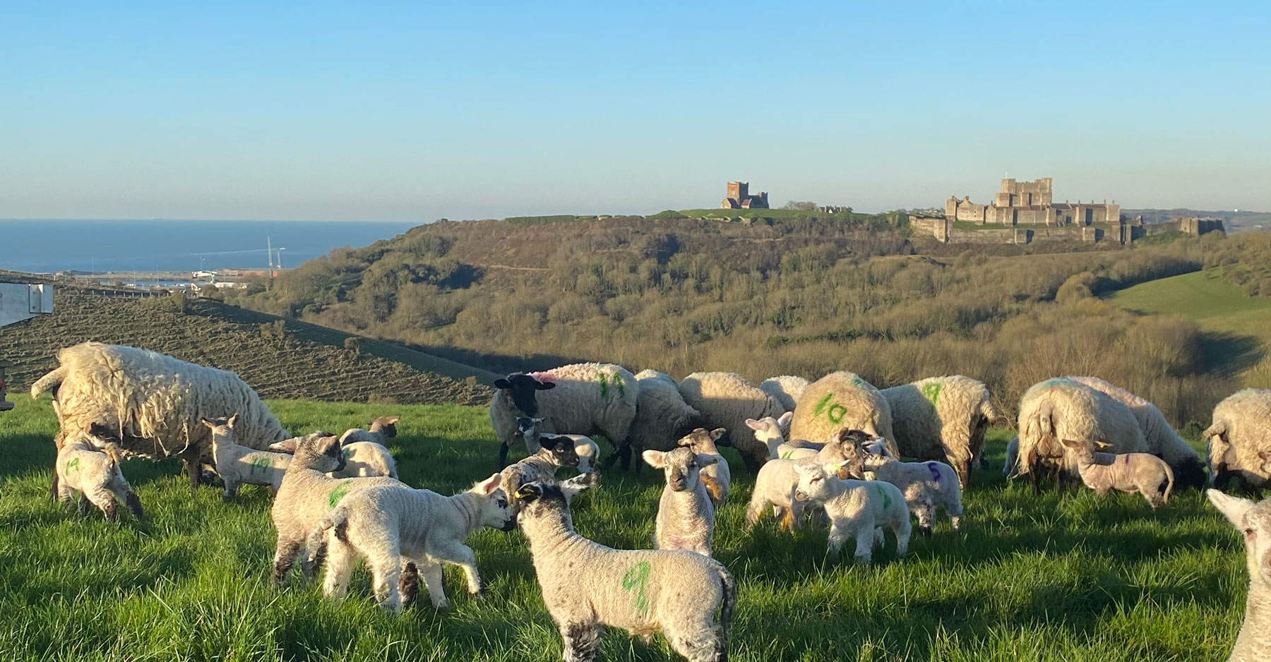 Broadlees Farm Dover Castle