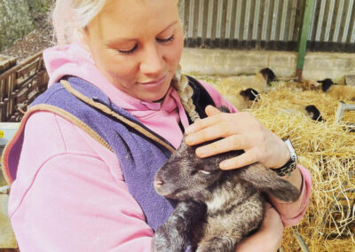 Lambing Open Days at Broadlees Farm