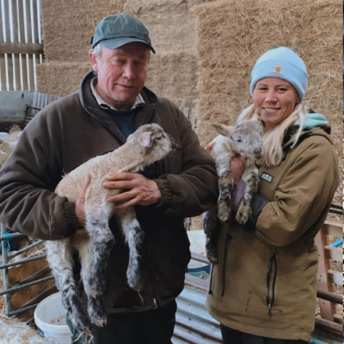 Lambing Open Days at Broadlees Farm